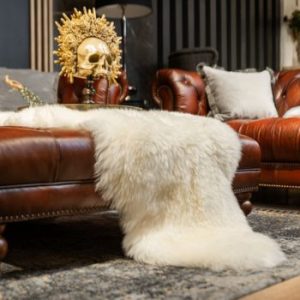 Caseys Furniture Cork
